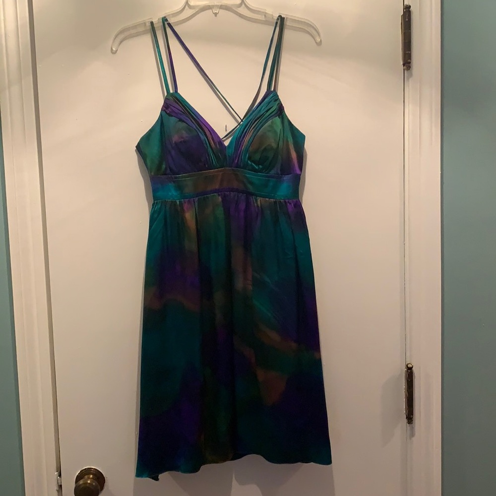Ally Cassini Silk Mini Dress